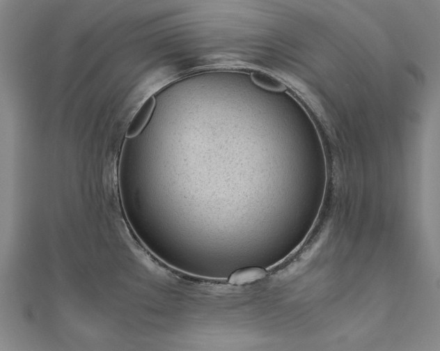 X0000111921289200908031157