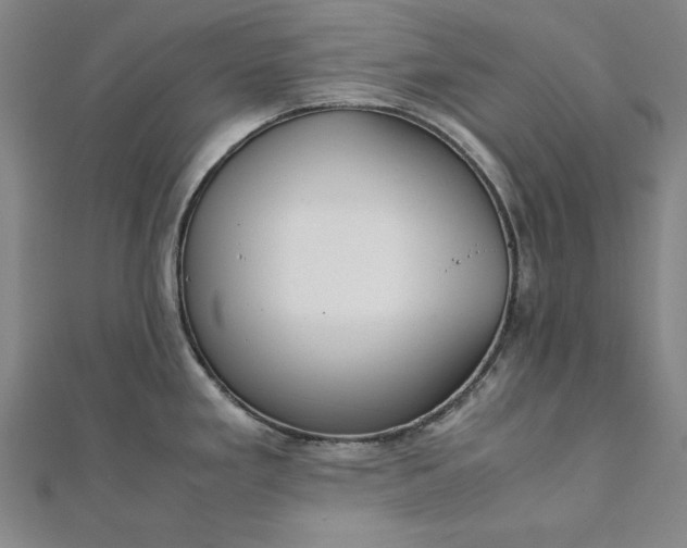 X0000111921293200908031156