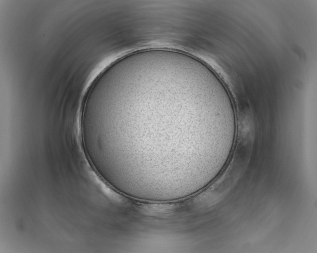 X0000111921294200908031156