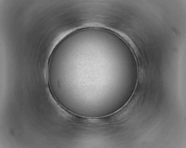 X0000111921295200908031156
