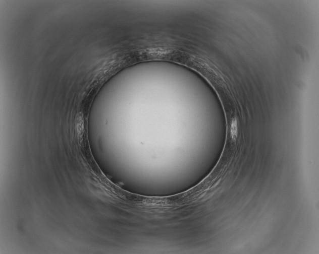 X0000111921299200908031156