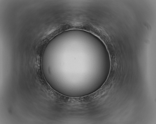 X0000111921301200908031156