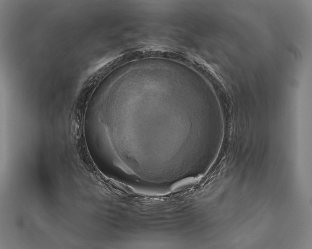 X0000111921303200908031156