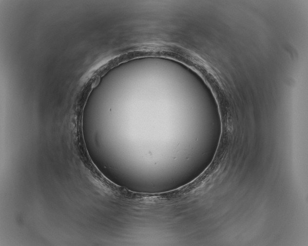 X0000111921304200908031156
