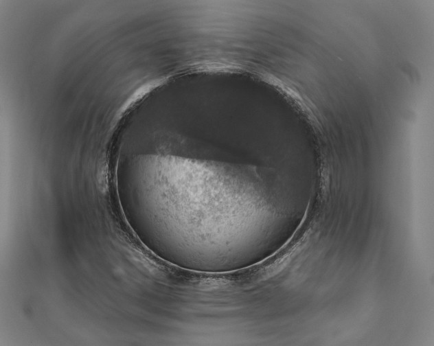 X0000111921306200908031156