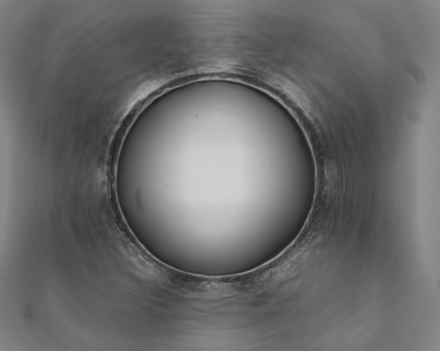 X0000111921308200908031156