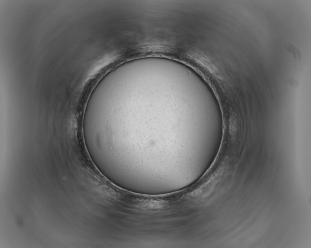 X0000111921309200908031156