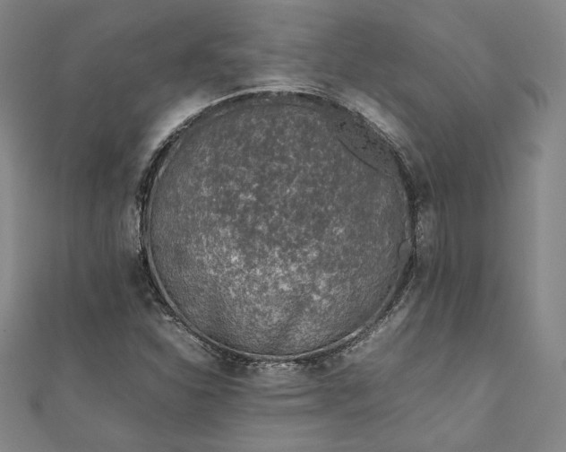 X0000111921310200908031156