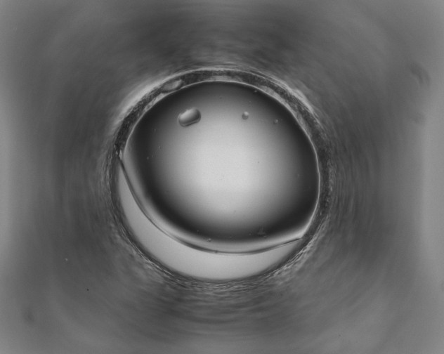 X0000111921311200908031156