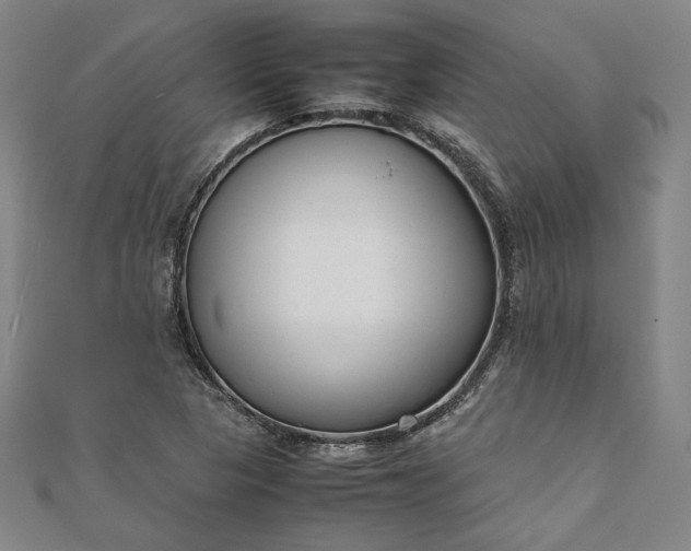 X0000111921313200908031156