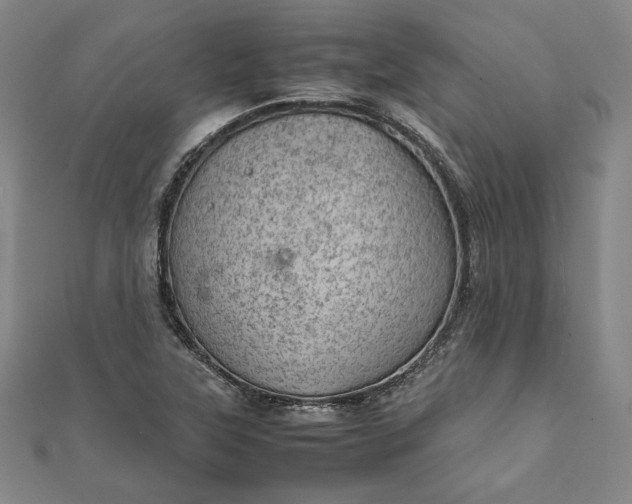 X0000111921315200908031156