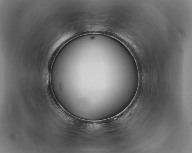 X0000111921317200908031156