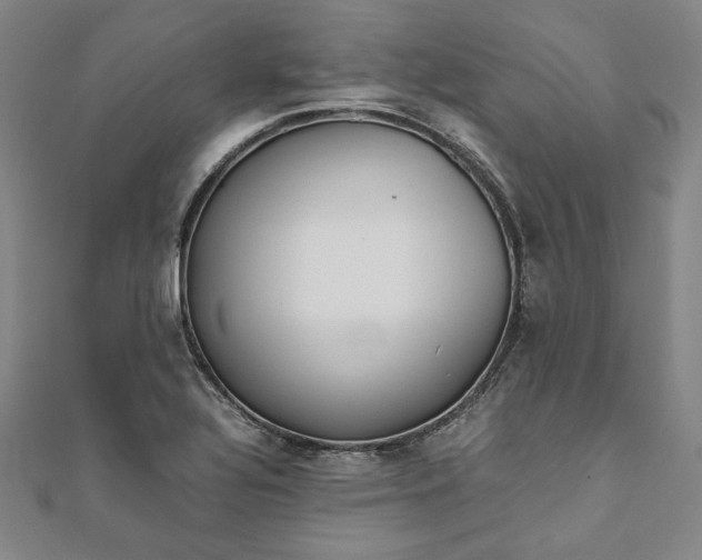 X0000111921320200908031156