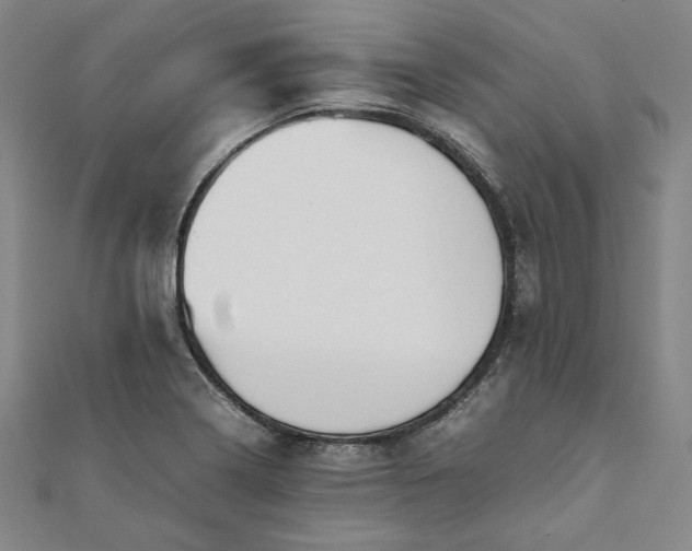 X0000111921322200908031156