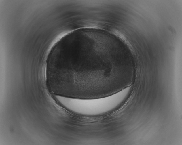 X0000111921323200908031156