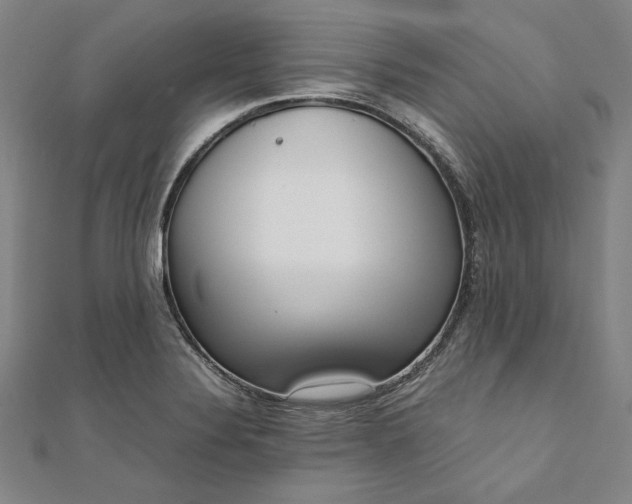 X0000111921324200908031156