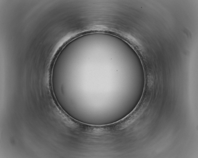 X0000111921326200908031156