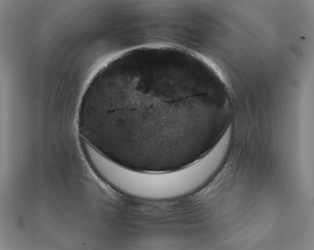 X0000111921327200908031156