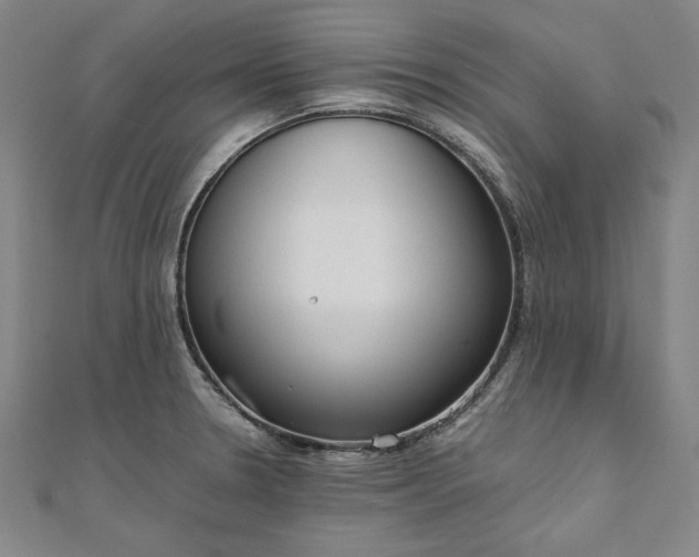X0000111921330200908031156
