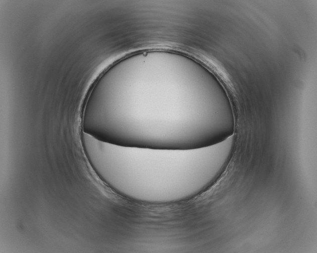 X0000111921332200908031156