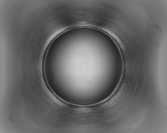 X0000111921333200908031156