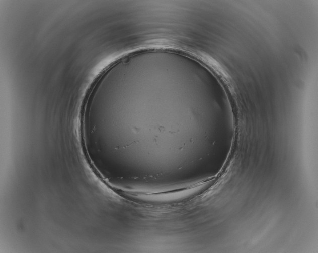X0000111921334200908031156