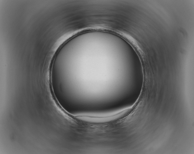 X0000111921335200908031156
