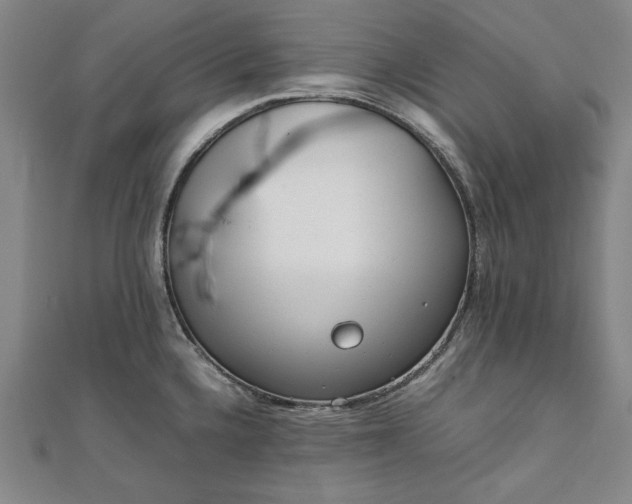 X0000111921336200908031156