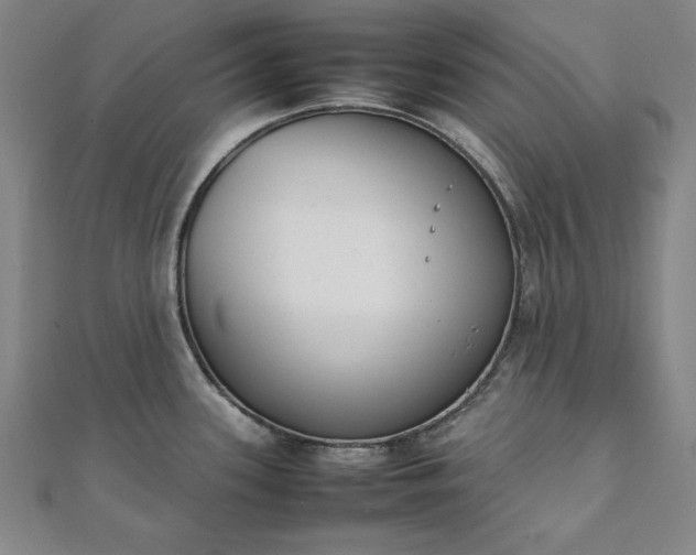 X0000111921339200908031156