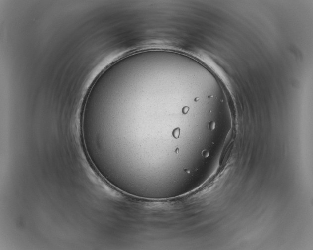 X0000111921341200908031156