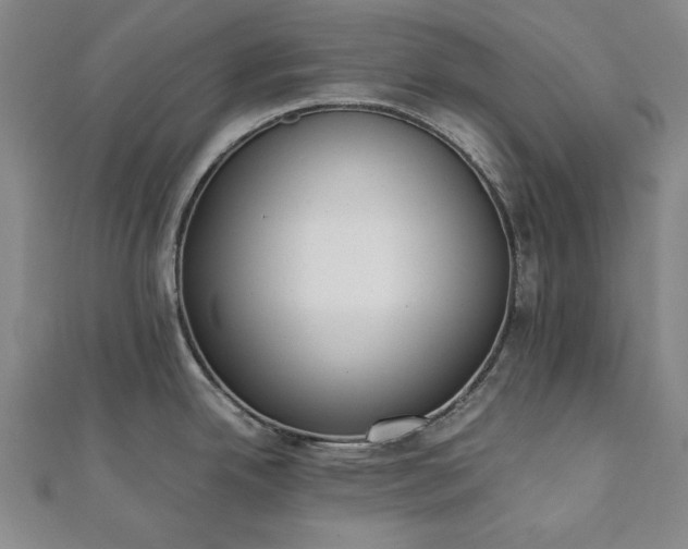 X0000111921342200908031156
