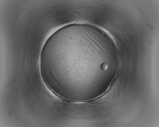 X0000111921343200908031156