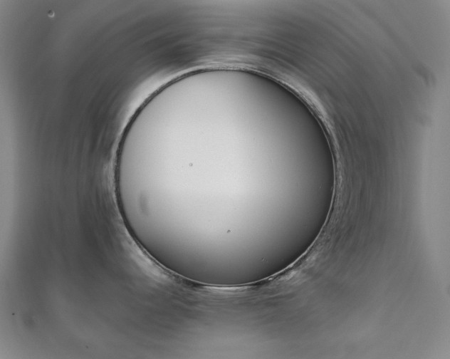 X0000111921344200908031156