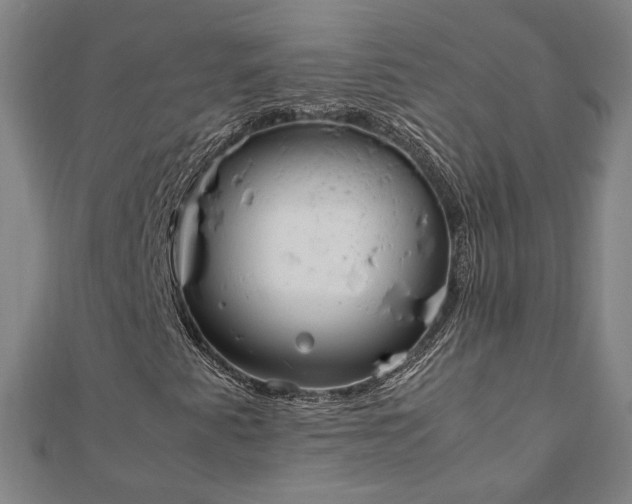 X0000111921345200908031156