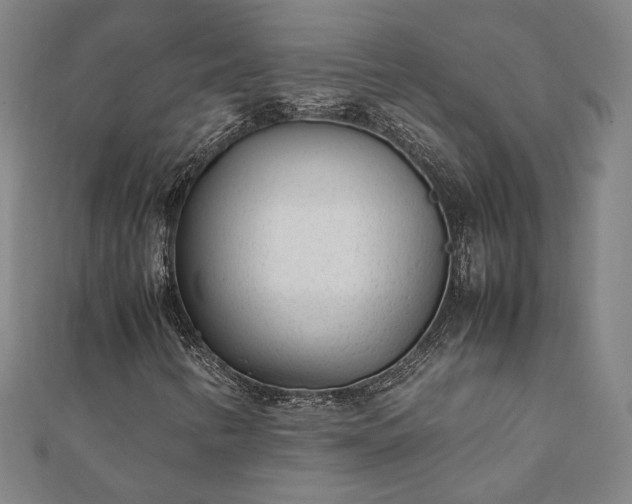X0000111921346200908031156