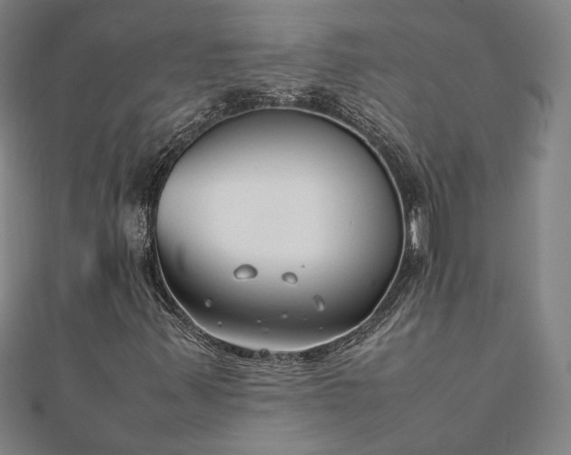 X0000111921347200908031156