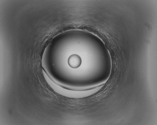 X0000111921349200908031156