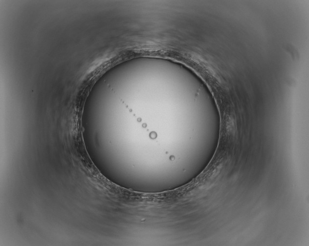 X0000111921350200908031156