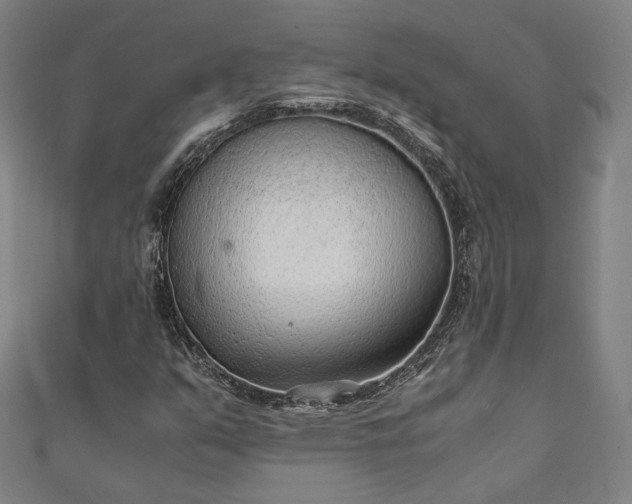 X0000111921351200908031156