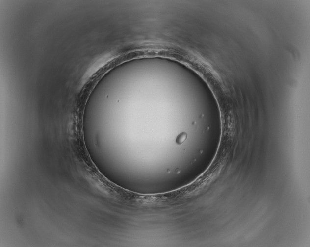 X0000111921352200908031156