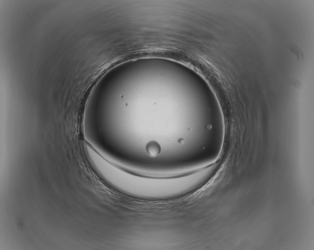 X0000111921353200908031156