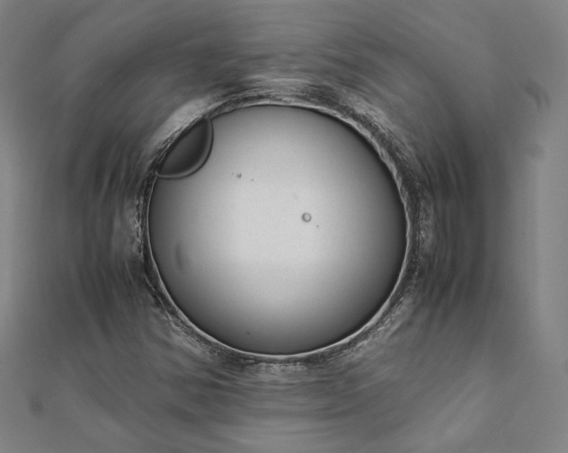 X0000111921354200908031156
