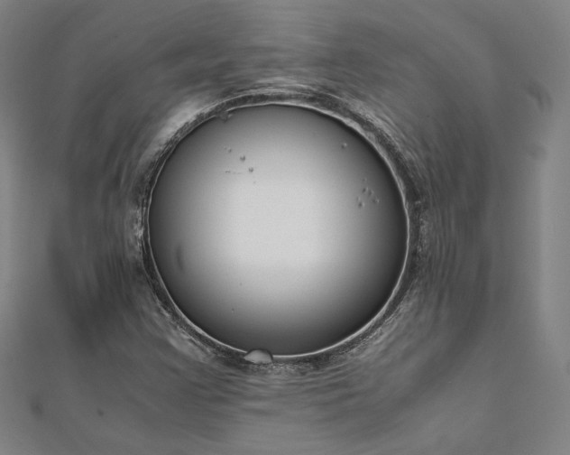 X0000111921355200908031156