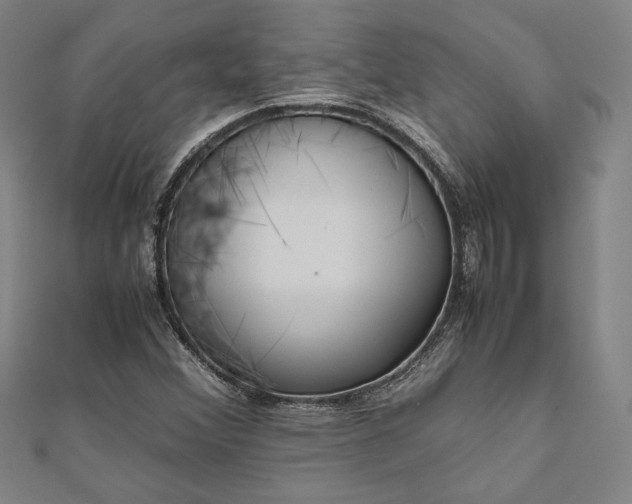 X0000111921356200908031156