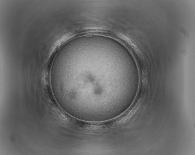 X0000111921357200908031156