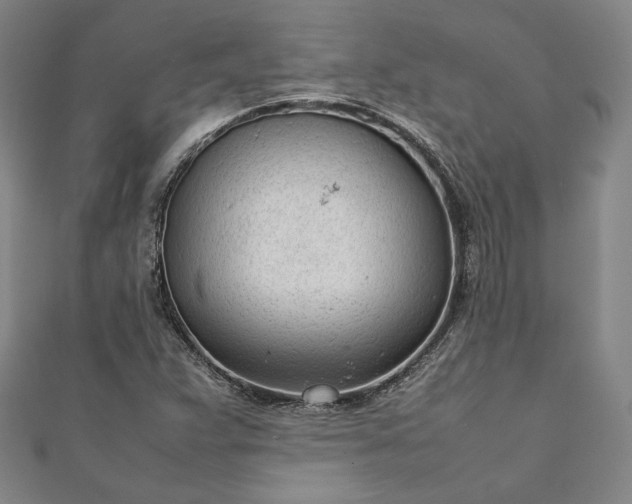 X0000111921359200908031156