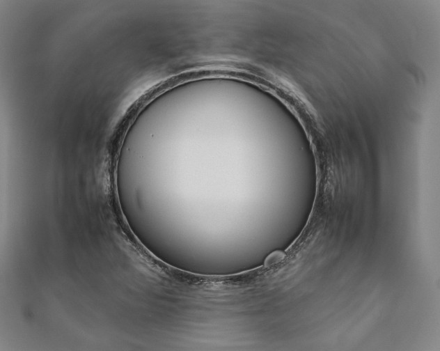 X0000111921360200908031156