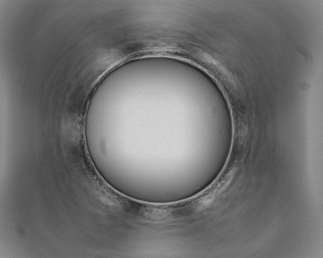 X0000111921361200908031156