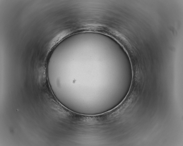 X0000111921362200908031156