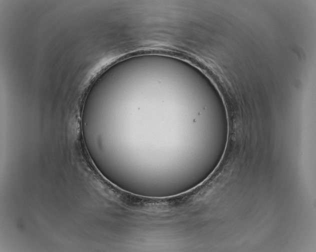 X0000111921363200908031156